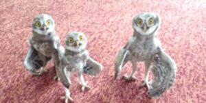 Quand on tombe sur un bug majeur en prod juste après notre livraison