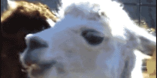 Quand j'écoute rien à ce qui se dit dans la visio et que j'entends soudain mon nom