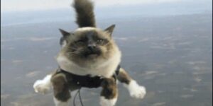 Quand on m'a vendu expert d'une techno que je connais pas et qu'on m'envoie chez le client