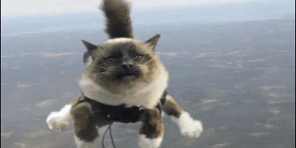 Quand on m'a vendu expert d'une techno que je connais pas et qu'on m'envoie chez le client