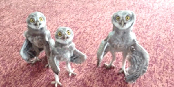 Quand on tombe sur un bug majeur en prod juste après notre livraison