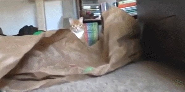 Quand mon code impeccable la semaine dernière ne fonctionne plus sans aucune raison apparente