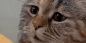 Quand j’ouvre un projet legacy et que je vois du code sans commentaires