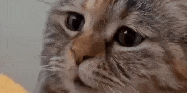 Quand j’ouvre un projet legacy et que je vois du code sans commentaires