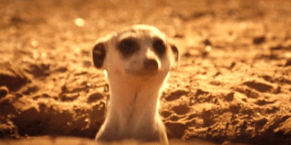 Quand un collègue ramène des viennoiseries le lundi matin