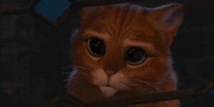 Quand je vais voir le service info pour gratter un nouvel écran