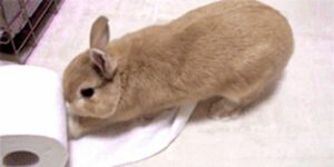 Quand je scrolle un fil d’emails interminable juste pour trouver ma réponse