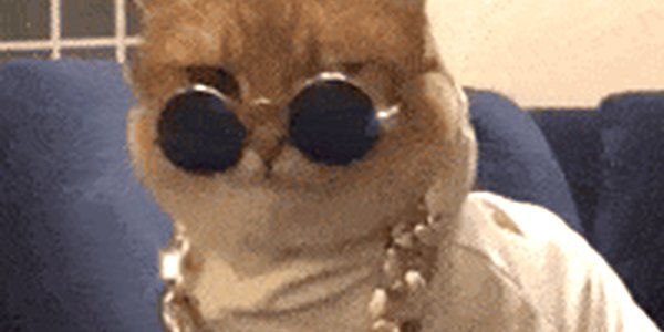 Quand je remplace une boucle for par un map()