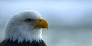 Quand j'entends quelqu'un parler de SQL dans un lieu public