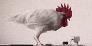 Quand je lance un gros build et que le ventilo de mon poste s'enclenche