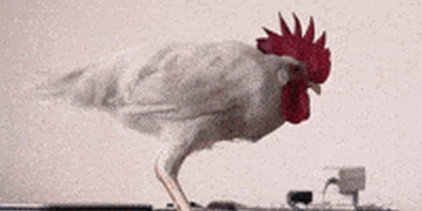 Quand je lance un gros build et que le ventilo de mon poste s'enclenche