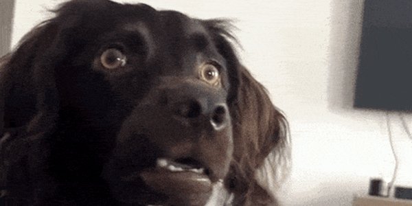 Quand ChatGPT me dit qu'il ne voit pas comment corriger mon bug et me demande si j'ai pensé à tout refactoriser