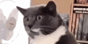 Quand j'essaie d'aider discrètement le chef qui galère pour sa démo