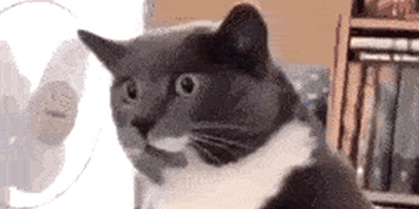 Quand j'essaie d'aider discrètement le chef qui galère pour sa démo