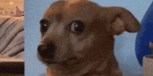 Quand je lance une migration de base de données et que ça freeze à 0% pendant 10 minutes