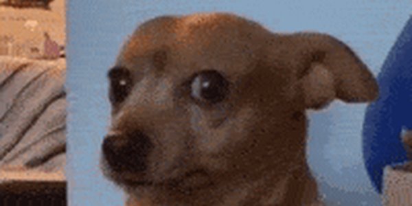 Quand j’ajoute un console.log et que je reçois 450 lignes dans le terminal