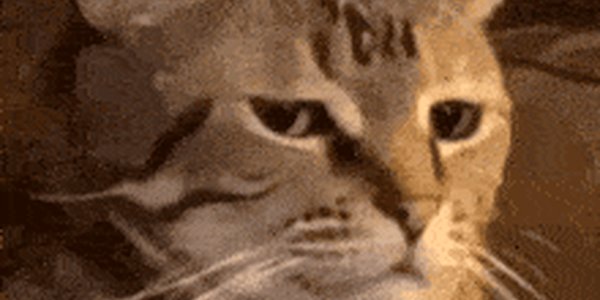 Quand le chef me dit que ça devrait être rapide à faire