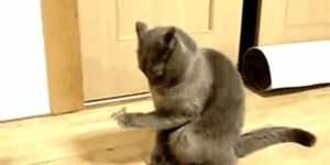 Quand le product owner me donne une spec sur un post-it et me demande de livrer ça au plus vite