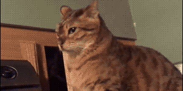 Quand quelqu'un vient me poser une question alors que je suis à fond sur mon code