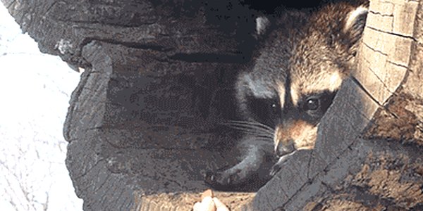 Quand on me file l'accès root au serveur de prod