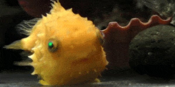 Quand le dev senior corrige un bug en moins de 5 minutes devant moi