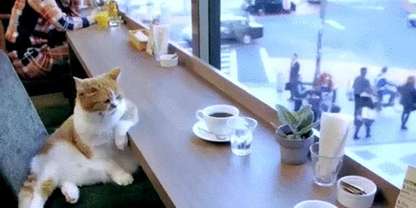 Quand je prends mon premier café du lundi