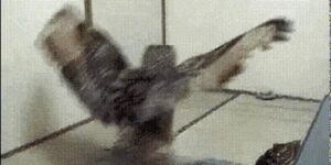 Quand ma requête avec plus d'une dizaine de jointures ne retourne rien