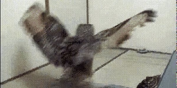 Quand ma requête avec plus d'une dizaine de jointures ne retourne rien