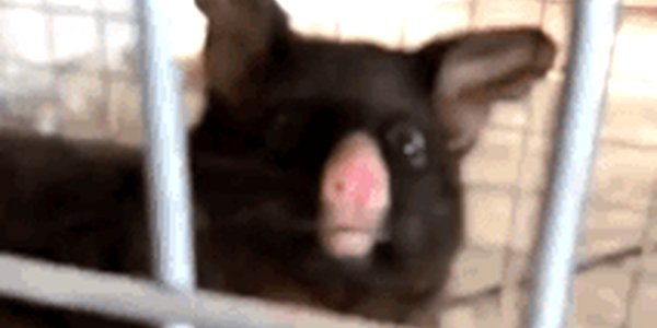 Quand je sors de plusieurs jours de support utilisateur