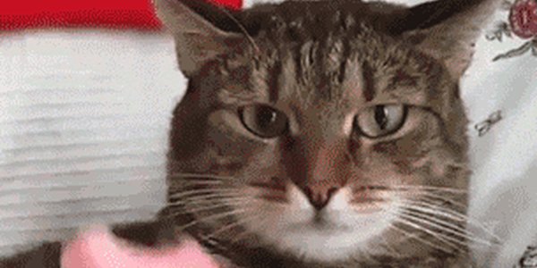 Quand on me transfère un ticket sans me prévenir