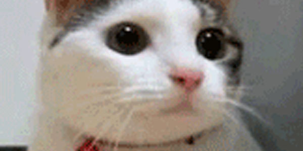 Quand j'ai configuré un log level un peu trop élevé