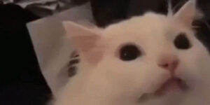 Quand je lance un énième build et que ça marche toujours pas