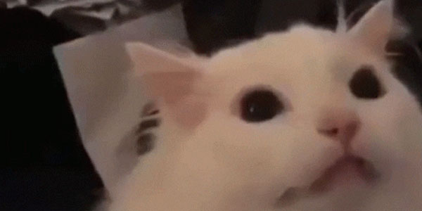 Quand je lance un énième build et que ça marche toujours pas