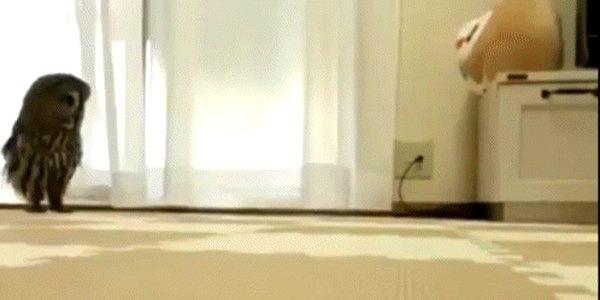 Quand je pose un TODO en espérant qu'un autre que moi s'en chargera