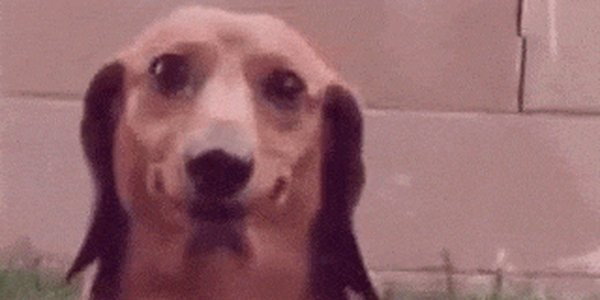 Quand je tombe sur un bug en pleine démo et que j'essaie de faire bonne figure