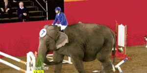 Quand j'utilise une énorme lib juste pour parser quelques lignes de texte