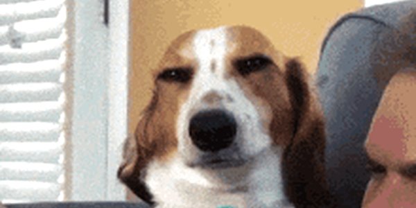 Quand je tombe sur une clé d'API partagée publiquement