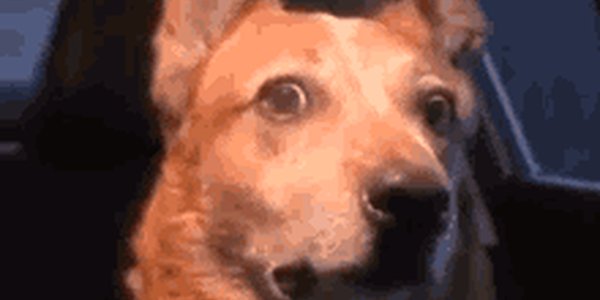 Quand je m'apprête à lancer un git status