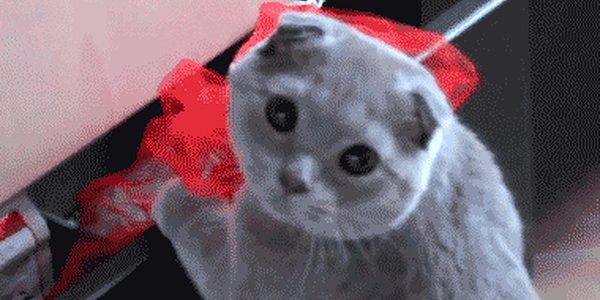 Quand le chef me surprend en train de regarder une vidéo YouTube