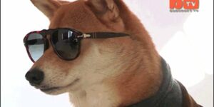 Quand je me pointe chez mon nouveau client après avoir été vendu comme expert par le commercial