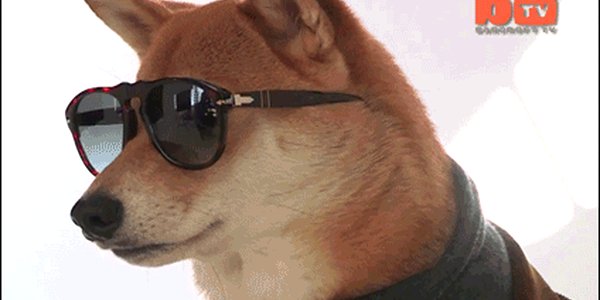 Quand je me pointe chez mon nouveau client après avoir été vendu comme expert par le commercial