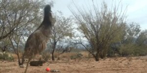 Quand un client nous appelle dès le matin pour signaler un bug