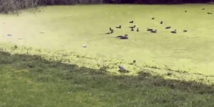 Quand je me lance sur la refonte d'un projet legacy