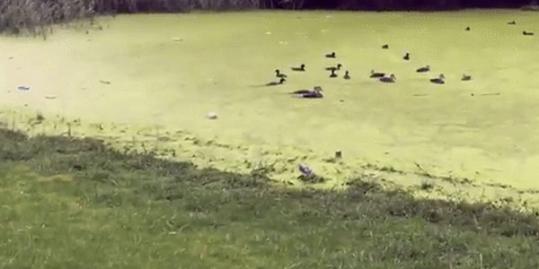 Quand je me lance sur la refonte d'un projet legacy