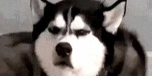 Quand je réalise que j'ai review la mauvaise pull request