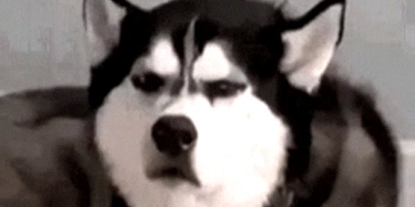 Quand je réalise que j'ai review la mauvaise pull request