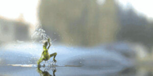 Quand j'entends quelqu'un prononcer le mot "afterwork"