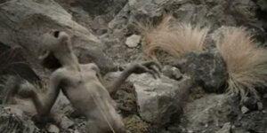 Quand ça fait déjà plusieurs heures que je m’acharne à corriger un bug