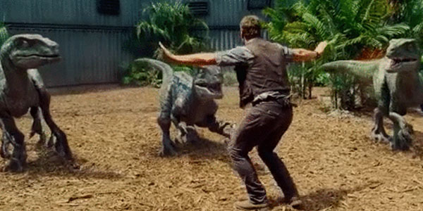 Quand je vais à une réunion client alors qu’il reste encore plusieurs bugs ouverts chez eux