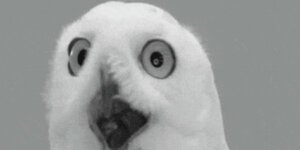 Quand je vois que le staging ne reflète absolument pas la prod